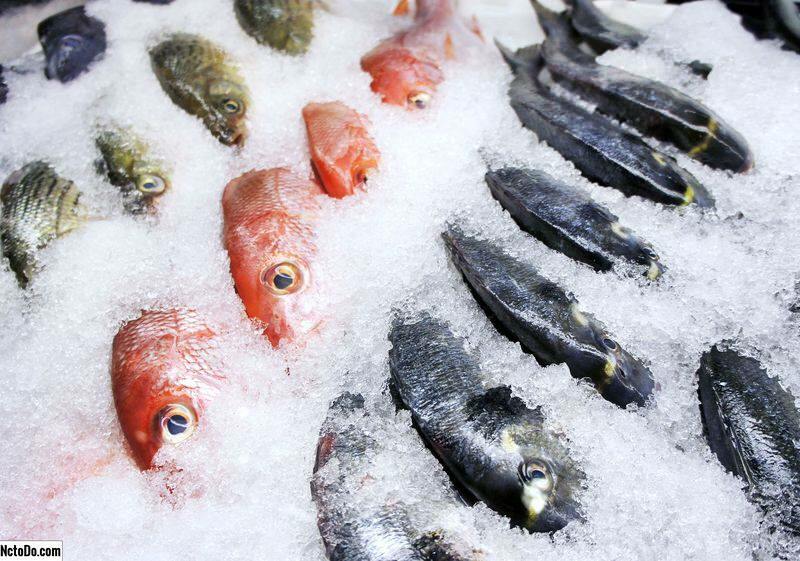 Come conservare il pesce nel congelatore