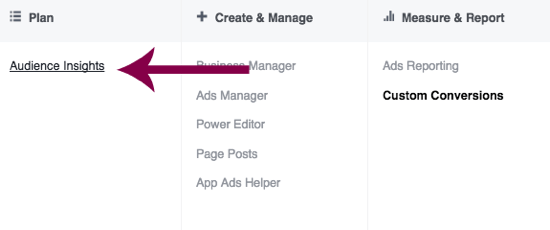 Accedi a Audience Insights in Facebook Ads Manager.