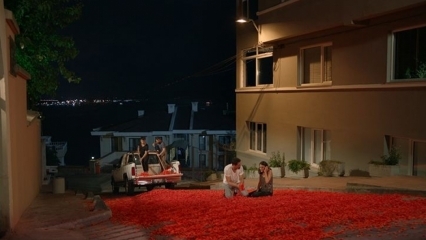 La proposta di matrimonio di Onur Tuna con 100 mila foglie di rose!