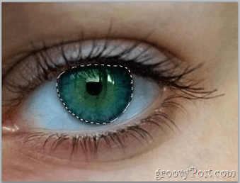 Nozioni di base di Adobe Photoshop - Human Eye seleziona il livello degli occhi