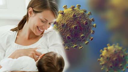 Il coronavirus passa dal latte al bambino? Attenzione alle future mamme durante il processo pandemico! 