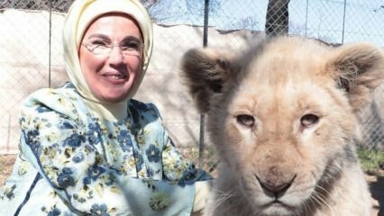 La First Lady Erdoğan ha fatto una foto con i leoni piccoli