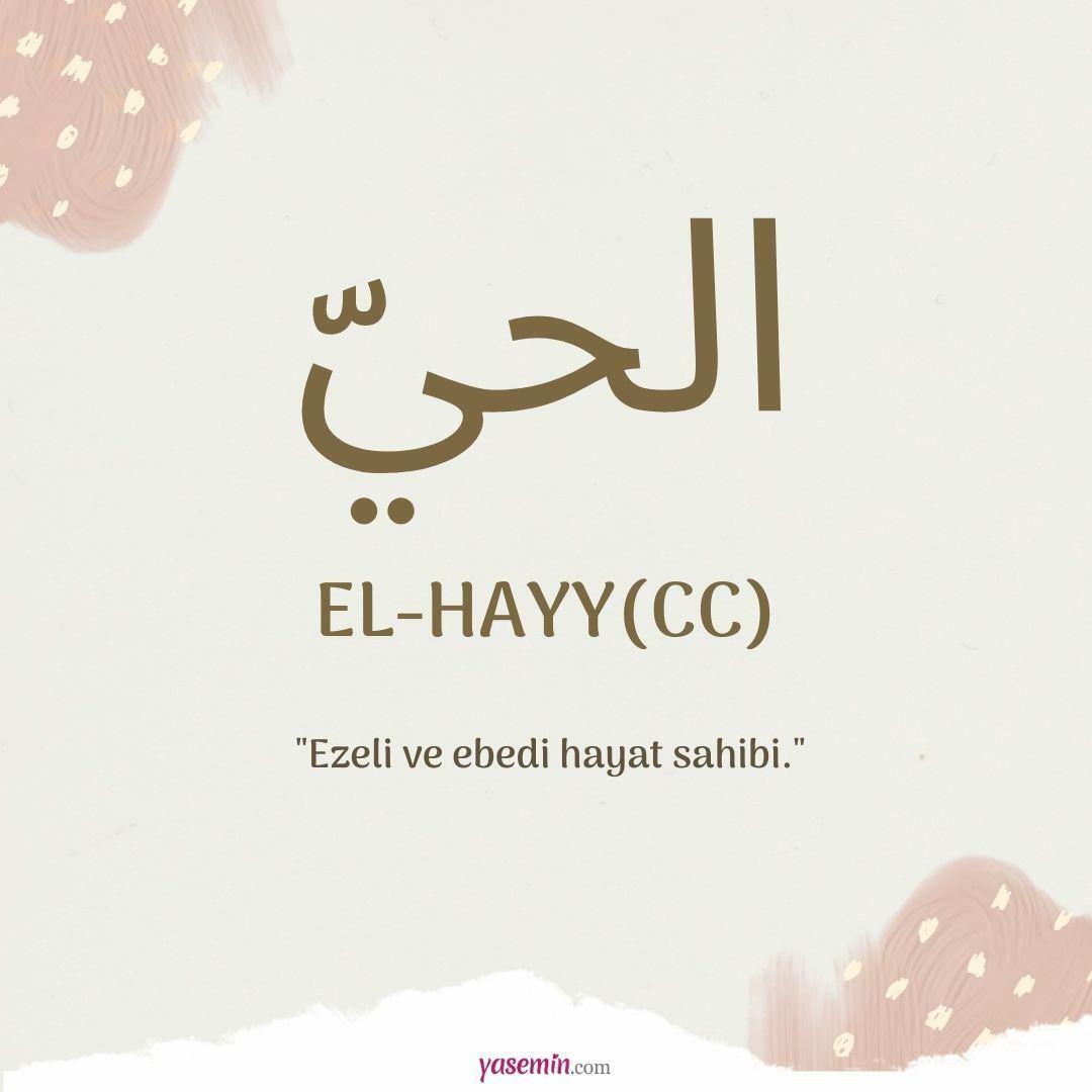 Cosa significa al-Hayy (c.c)?