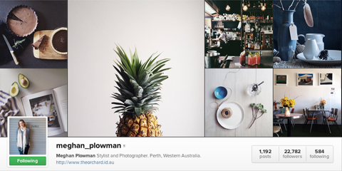 profilo instagram di meghan plowman