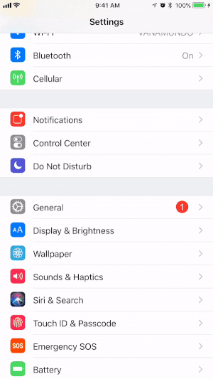 Aggiungi la funzione di registrazione dello schermo al Centro di controllo del tuo dispositivo iOS.