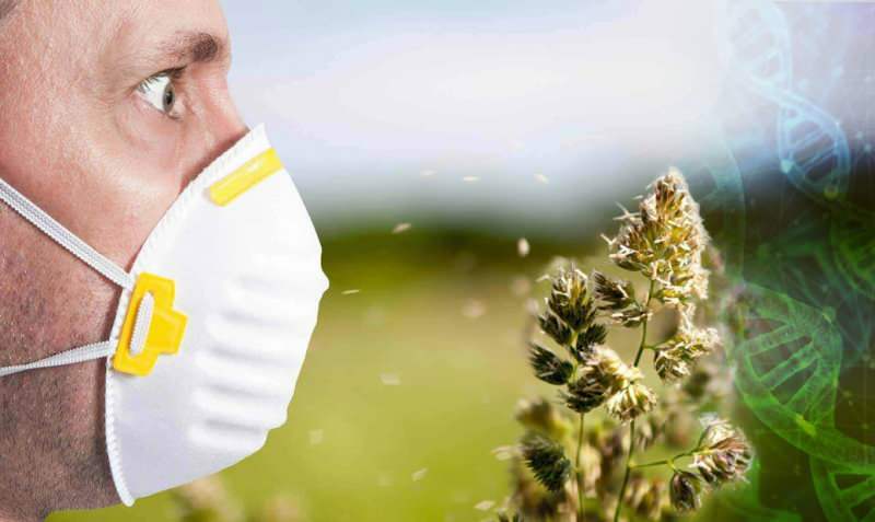 allergia ai pollini aumentata