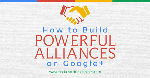 costruire alleanze su google +