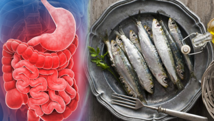 Quali sono i sintomi che indicano l'infiammazione nel corpo? Alimenti che infiammano il corpo ...