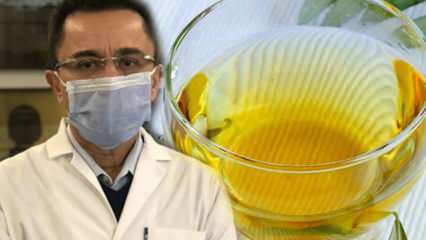 Tè miracoloso contro il virus: quali sono i benefici del tè alle foglie di olivo? Preparare il tè alle foglie di ulivo