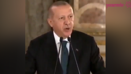 Presidente Erdoğan: Gli artisti che hanno riversato il loro lato politico nelle polemiche ci hanno turbato