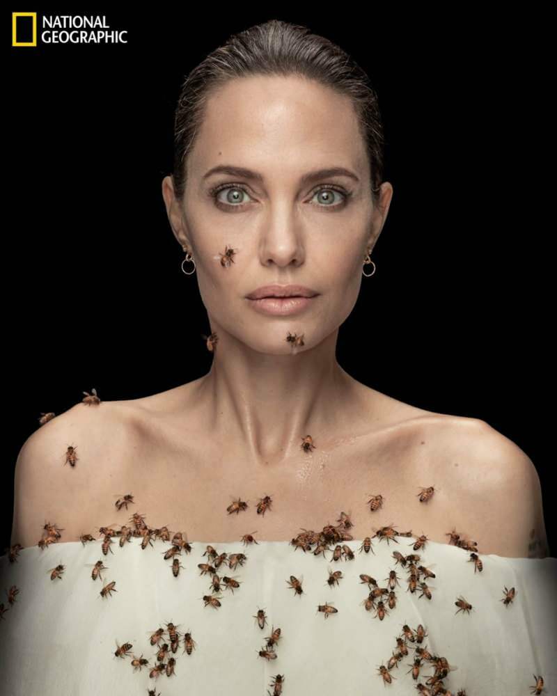Angelina Jolie in lente con api per api!