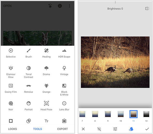 Un menu Snapseed a sinistra mostra 20 diversi strumenti e un esempio di filtro Snapseed a destra mostra un file foto di due tacchini selvatici che camminano nell'erba dorata e un menu di filtri sul fondo di uno schermo mobile.