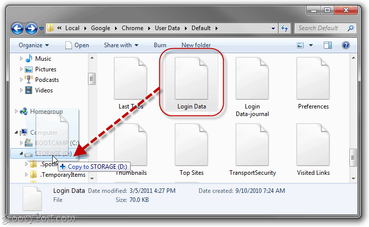 backup delle password salvate di Chrome