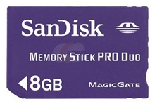 Scheda di memoria Dandisk da 8 GB