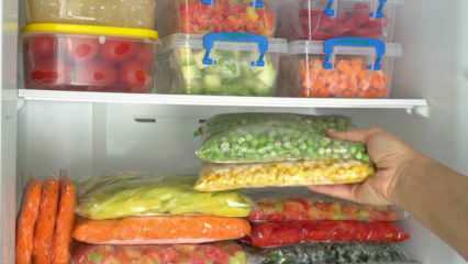 Quale cibo dovrebbe rimanere nel congelatore per quanto tempo? Quanto tempo devono essere consumati i pasti nel congelatore? 