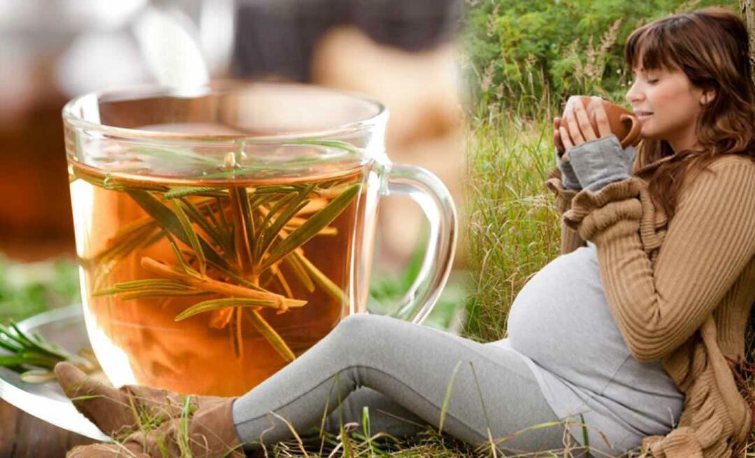 Le donne incinte possono bere il tè invernale? Quale tè dovrebbe essere bevuto durante la gravidanza? tè invernali per donne incinte