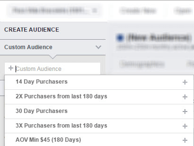 Analizza il tuo pubblico personalizzato scelto in Facebook Audience Insights.