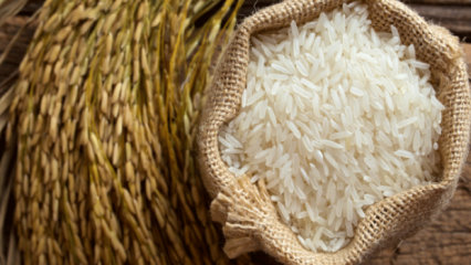 Come viene compreso il meglio del riso? 