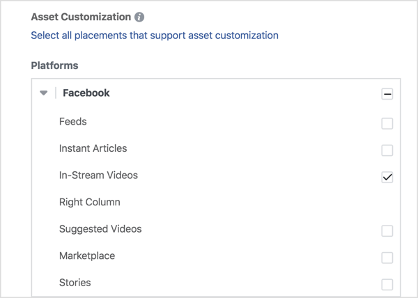 Se desideri mostrare i tuoi annunci video solo su Facebook, seleziona Video in-stream in Facebook.