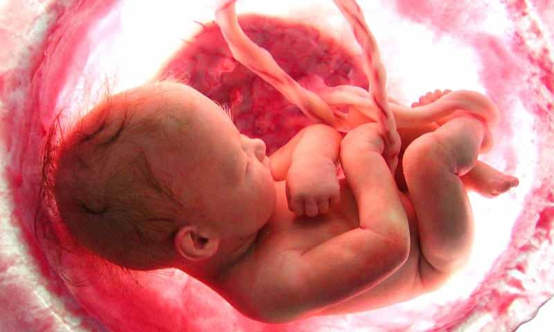 Qual è la formazione del bambino nell'utero? Processo di nascita passo dopo passo