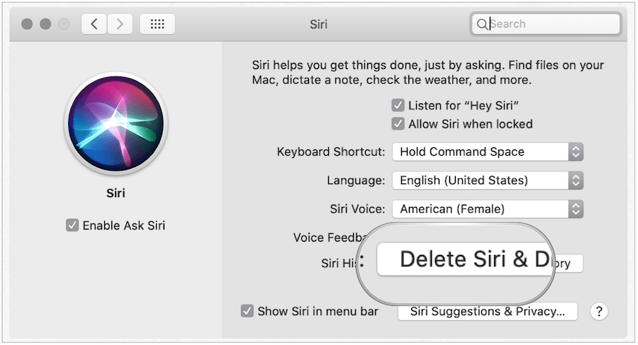 Elimina la cronologia di Siri su Mac