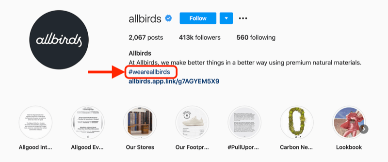 esempio di hashtag aziendale incluso nella descrizione del profilo dell'account instagram @allbirds