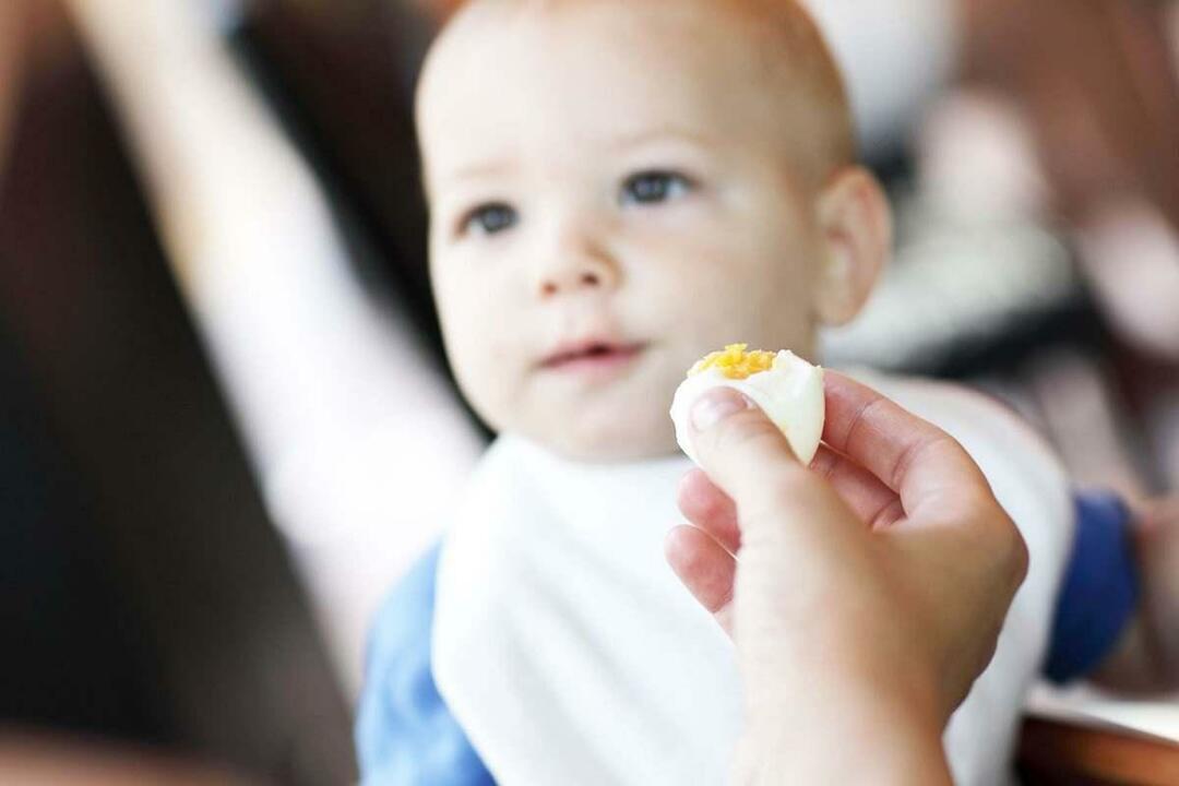 bambino che mangia l'uovo