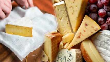 Come viene conservato il formaggio? Come va messo il formaggio in frigorifero? Odore di formaggio