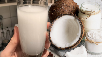 Cosa fa l'acqua di cocco? Quali sono i benefici del cocco?