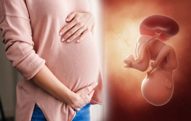 Quali sono i sintomi della gravidanza? Sintomi di gravidanza precoce