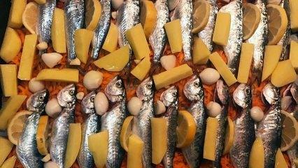 Come cucinare il chinekop? Il modo più semplice per cucinare il pesce chinakop! Ricetta Chinekop al forno