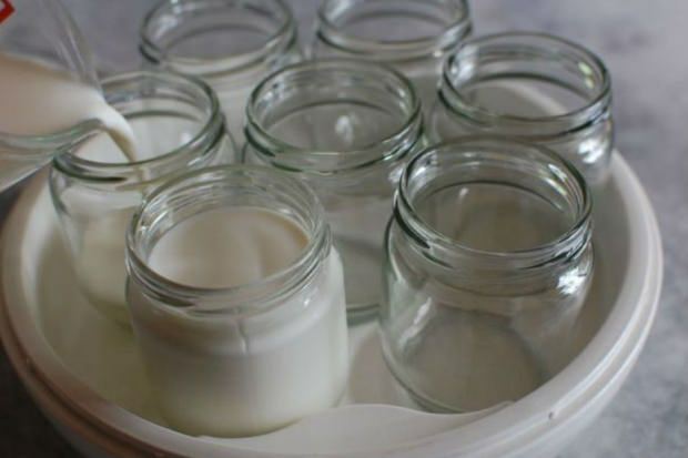 yogurt dal latte del villaggio