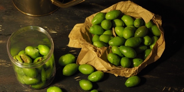 olive verdi