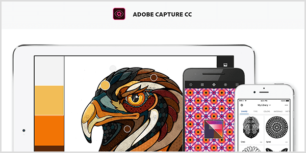 Adobe Capture crea una tavolozza da un'immagine acquisita con un dispositivo mobile. Il sito Web mostra un'illustrazione di un uccello e una tavolozza creata dall'illustrazione, che include grigio chiaro, giallo, arancione e marrone rossastro.