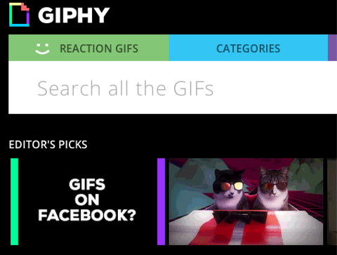 giphy su facebook