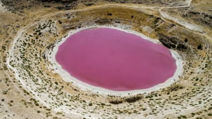 Il colore del lago Meyil Obruk è diventato rosa!
