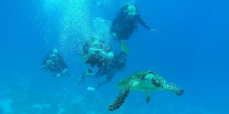 Tour di immersioni subacquee di Oludeniz