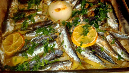 Come cucinare le sarde? La ricetta delle sarde più semplice