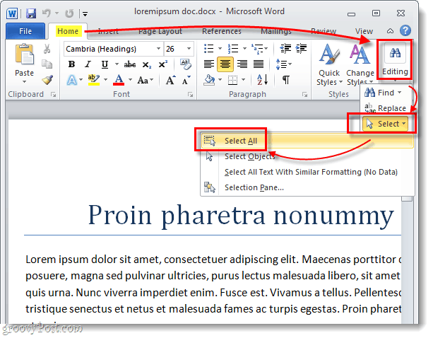 seleziona tutto il testo in un documento Word 2010