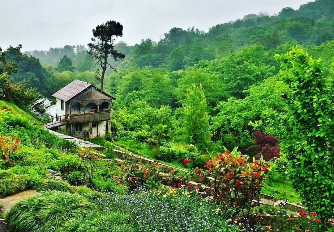 Giardino botanico di Batumi