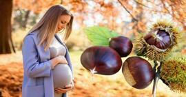 Le donne incinte possono mangiare le castagne? Benefici del consumo di castagne durante la gravidanza per il bambino e la mamma