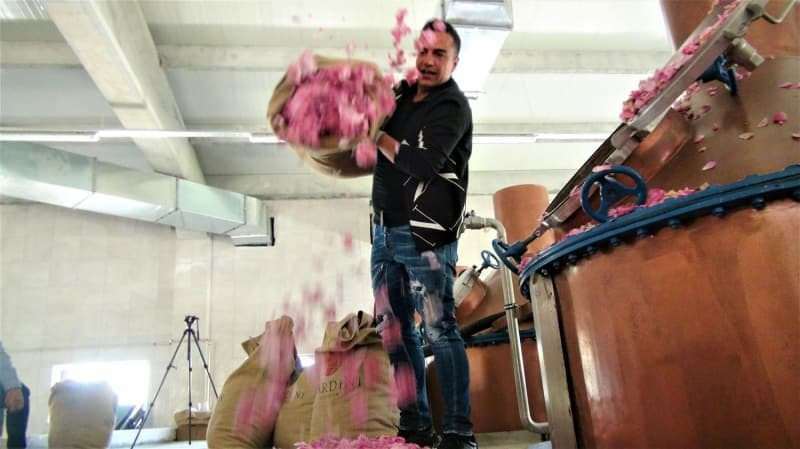 Berdan Mardini ha fondato una fabbrica di olio di rose nella sua città natale!