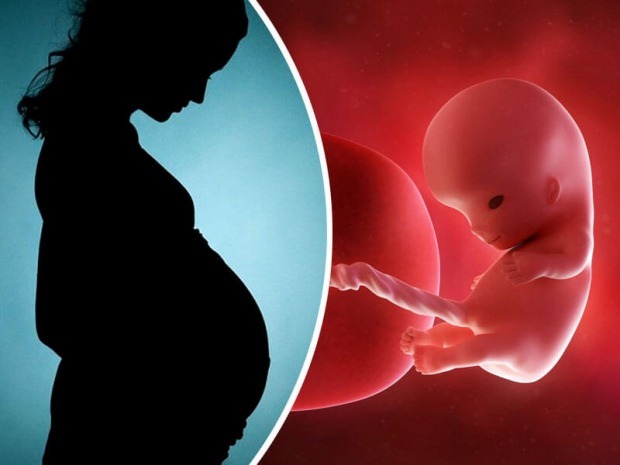 Come nasce il nascituro? Processo di nascita passo dopo passo ...