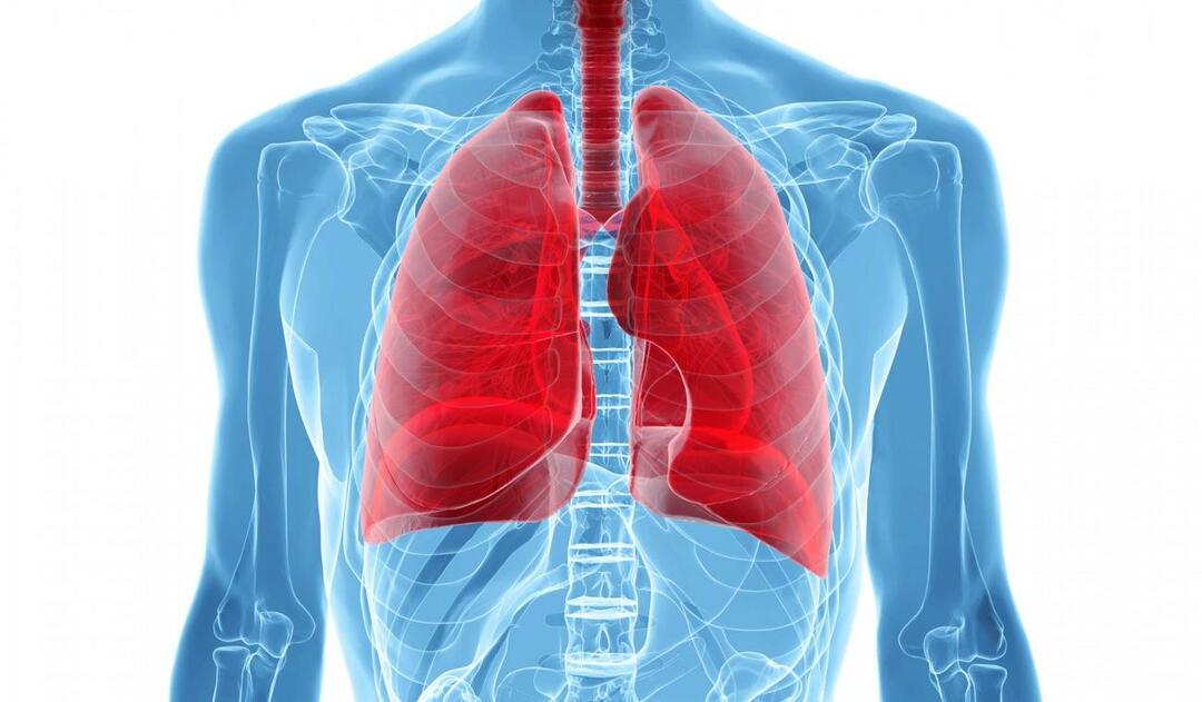 Cos’è la sindrome del polmone bianco e quali sono i suoi sintomi? Qual è il trattamento per la sindrome del polmone bianco?