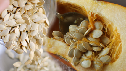Quali sono i benefici dei semi di zucca? Cosa succede se mangi una manciata prima di andare a dormire la sera?
