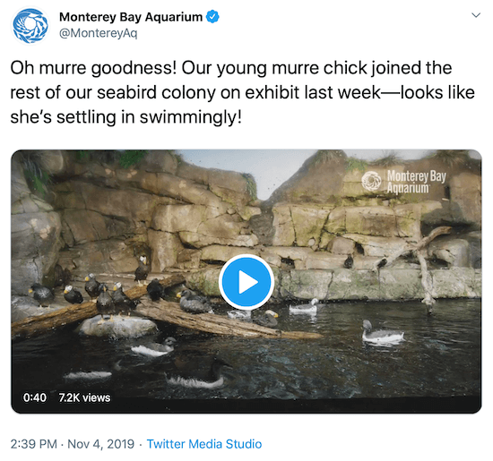 twittare dal Monterey Bay Aquarium come esempio della voce dei social media di un marchio