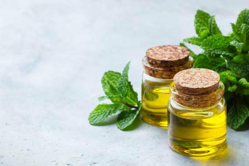 Come si fa l'olio di menta piperita? Suggerimenti per fare l'olio di menta piperita