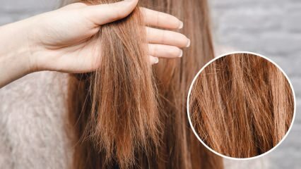 Cosa fare con i capelli bruciati da un orya? Come dovrebbero essere curati i capelli trattati?