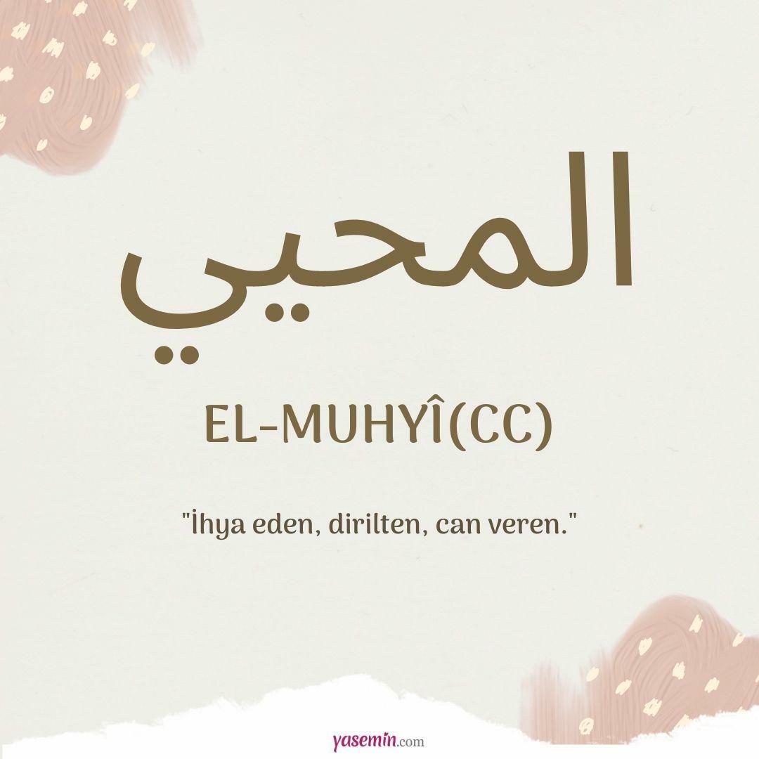 Cosa significa al-Muhyi (cc)?