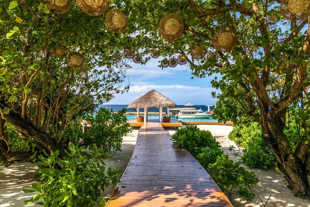La tua vacanza da sogno diventa realtà alle Maldive!